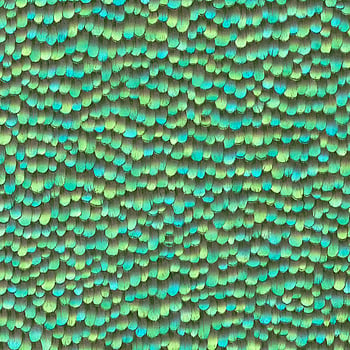 Galerie Wallcoverings Product Code AM30020 - Amazonia Wallpaper Collection - Green Colours -  